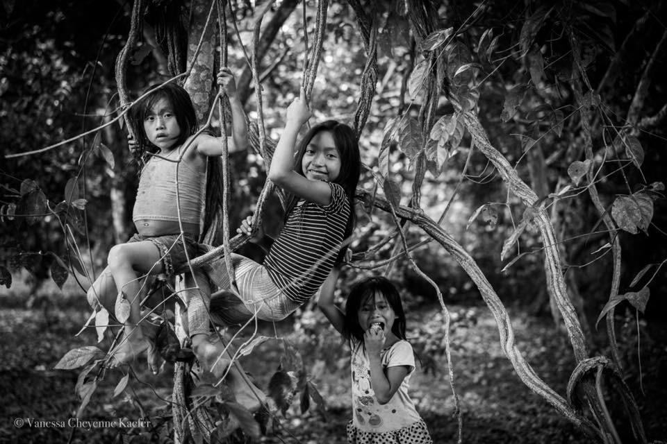 whatsapp image 2025 12 11 at 11.08.59 (2)